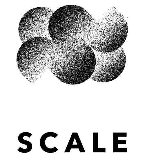 logo-scale-vision